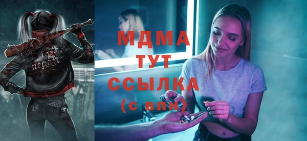 индика Мегион