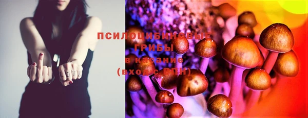 дурь Михайловка