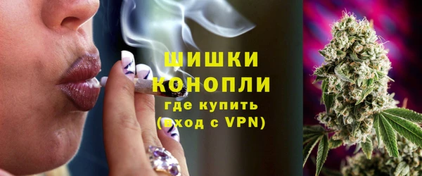 индика Мегион