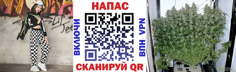 Канабис план  Купить закладки  Комсомольск 